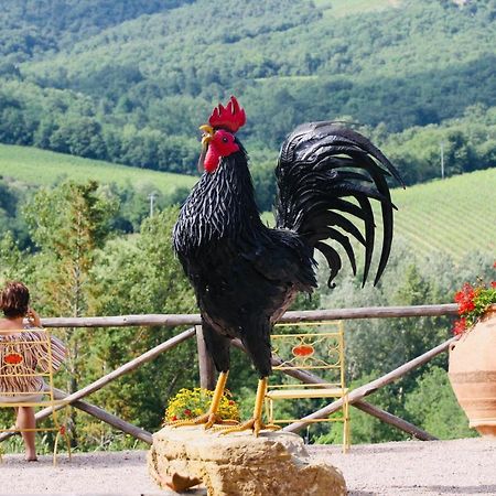 Agriturismo Borgo Il Bonagino ราดดา อิน เคียนติ ภายนอก รูปภาพ