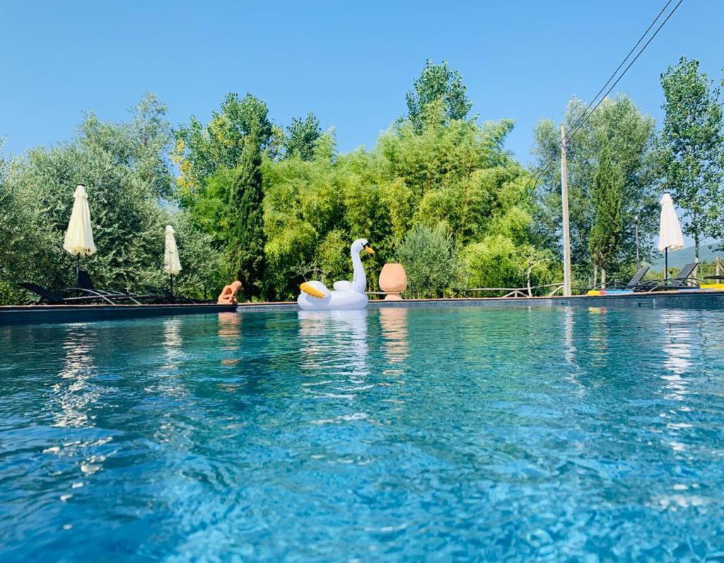 Agriturismo Borgo Il Bonagino ราดดา อิน เคียนติ ภายนอก รูปภาพ